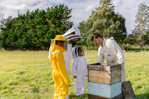 Honey Stables - Beekeeping Experience