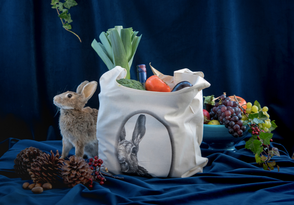 Wild Grey Fox - Organic Grocery Bags
