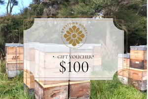 $100 Gift Voucher (online)